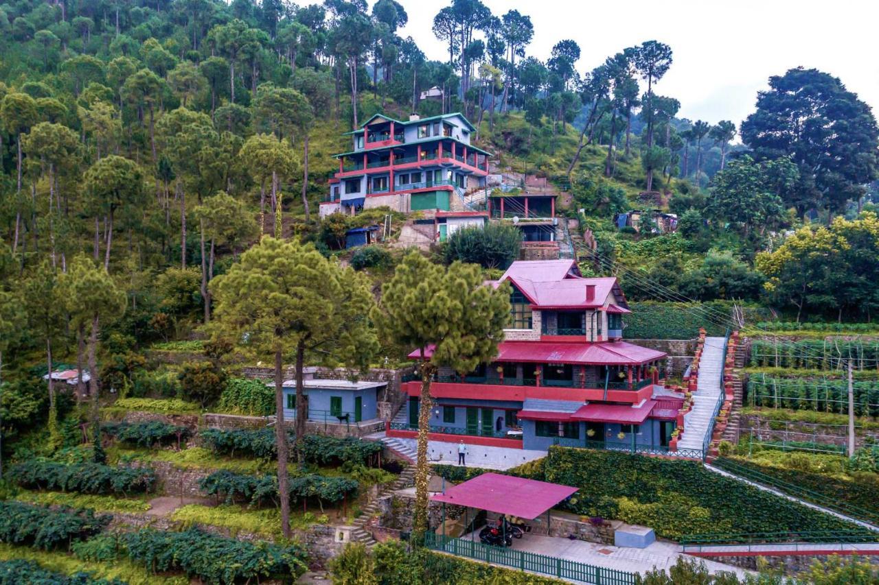 Stayvista At Cecil Cottages With Barbeque, Hill View 卡绍利 外观 照片